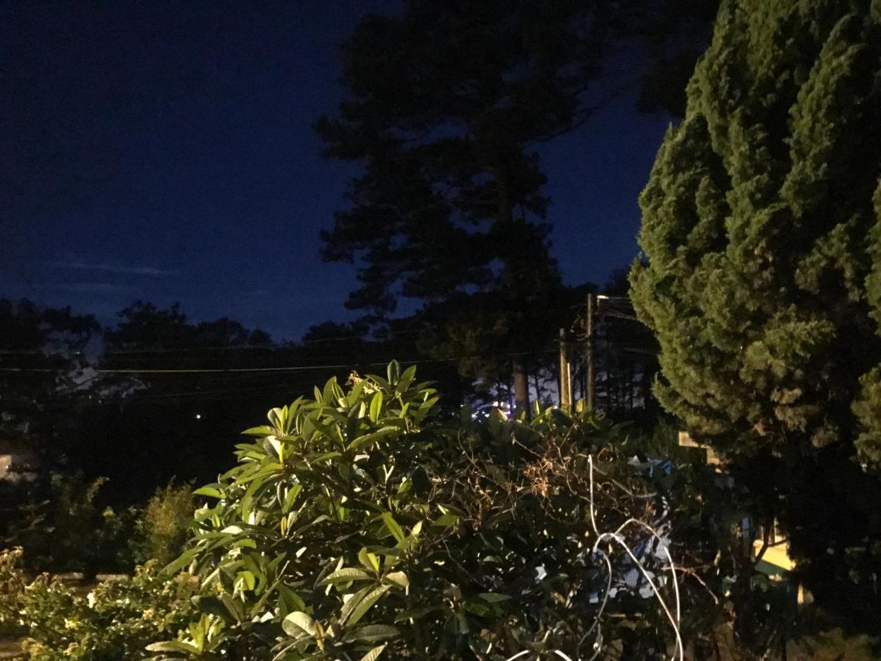 Windy House Hotel Dalat Luaran gambar